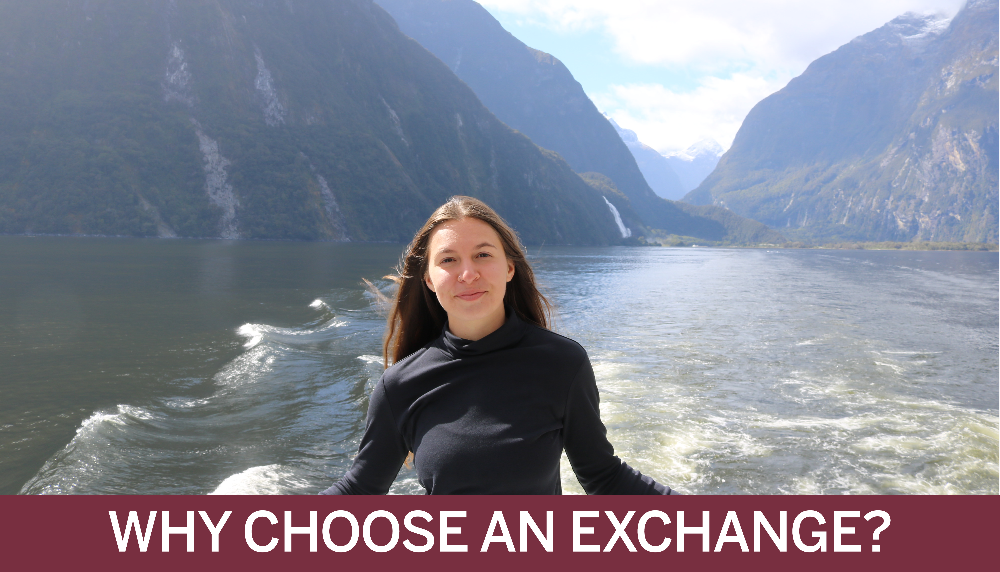 Why Choose An Exchange